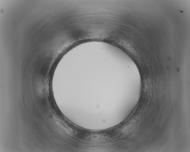 X0000062170632200512121241