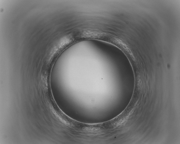 X0000062170633200512121241