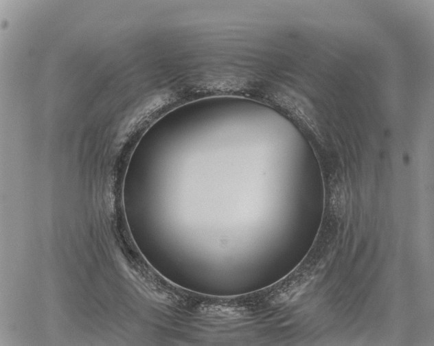 X0000062170635200512121241