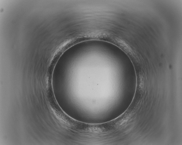 X0000062170636200512121241