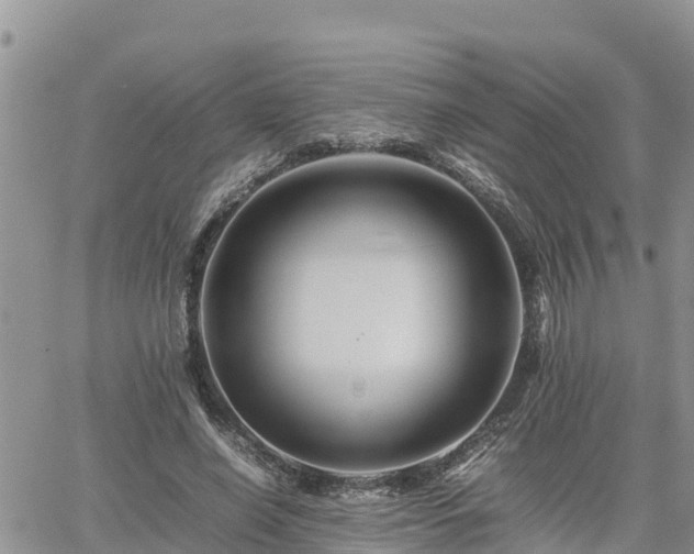 X0000062170638200512121241