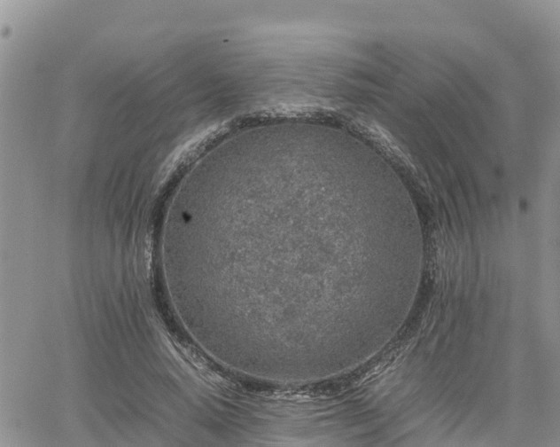 X0000062170640200512121241