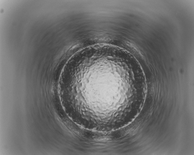 X0000062170643200512121241