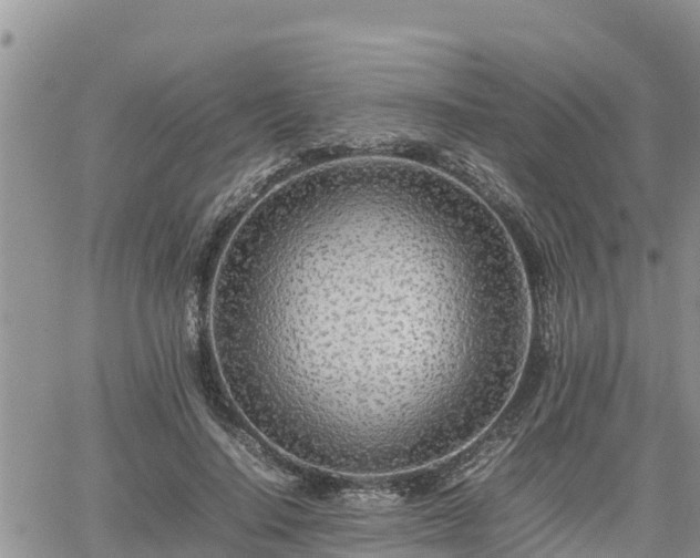 X0000062170644200512121241