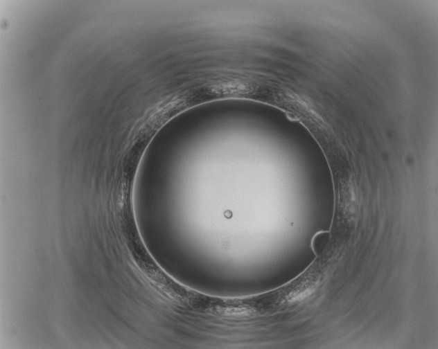 X0000062170645200512121241