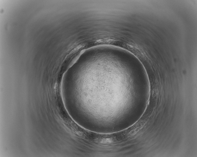 X0000062170647200512121241