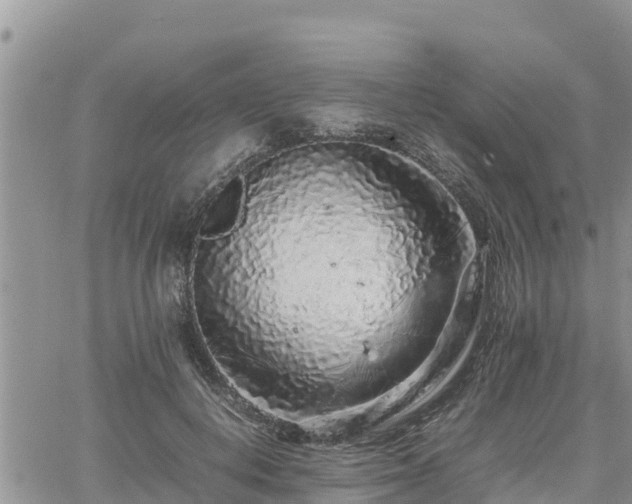 X0000062170648200512121241