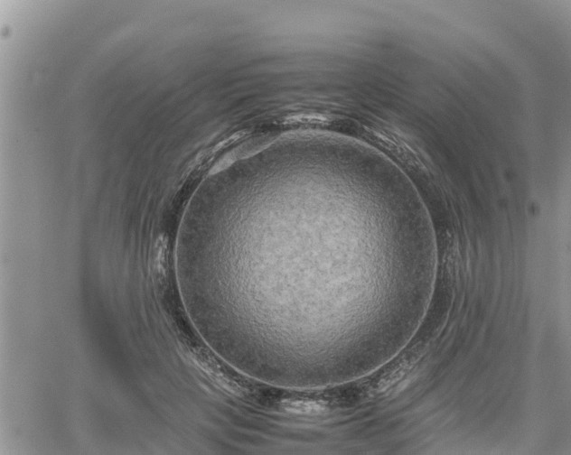 X0000062170649200512121241