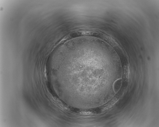 X0000062170650200512121241