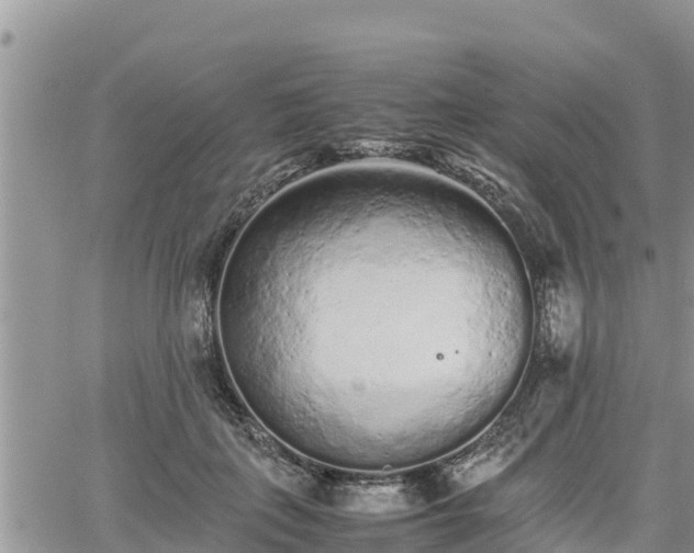 X0000062170651200512121241