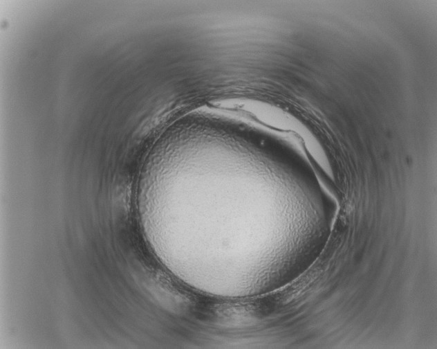 X0000062170652200512121241