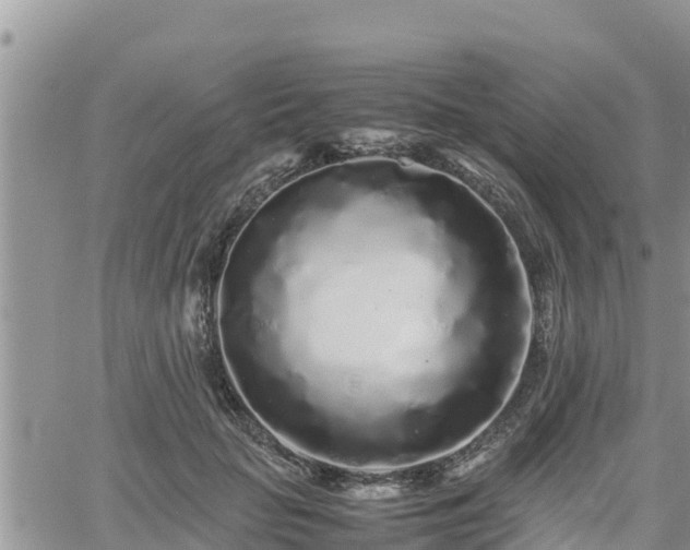 X0000062170653200512121241