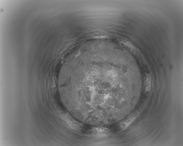 X0000062170654200512121241