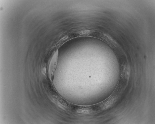 X0000062170655200512121241