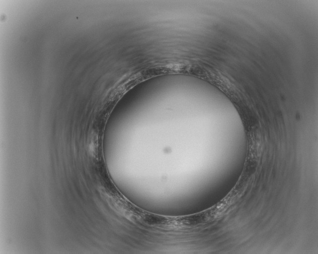 X0000062170656200512121242