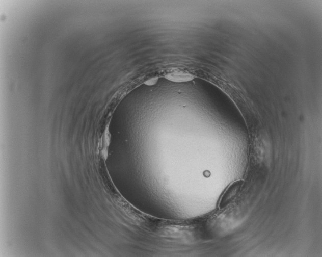 X0000062170657200512121242