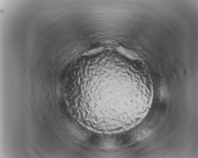 X0000062170658200512121242