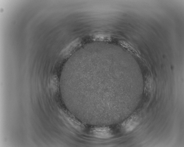 X0000062170659200512121242