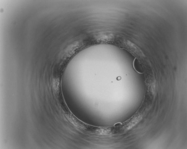 X0000062170660200512121242