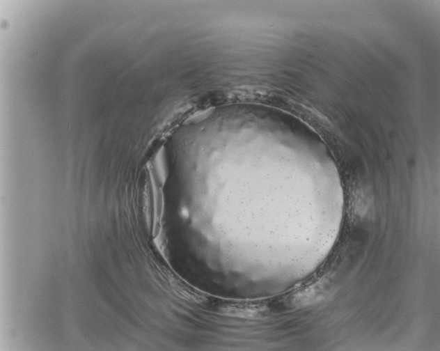 X0000062170661200512121242