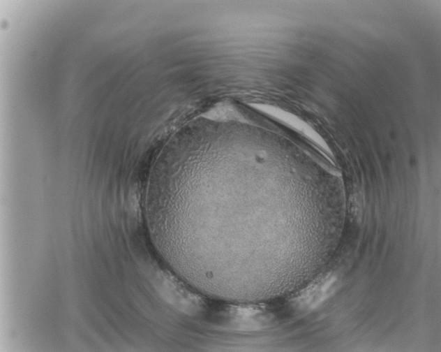 X0000062170662200512121242