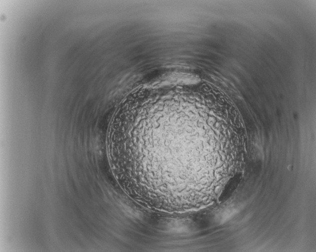 X0000062170663200512121242