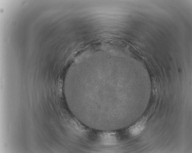 X0000062170664200512121242