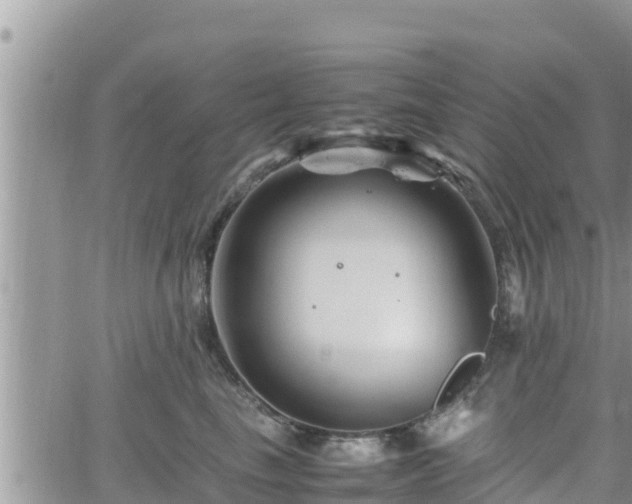 X0000062170665200512121242