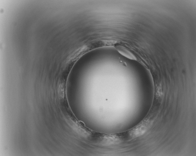 X0000062170666200512121242