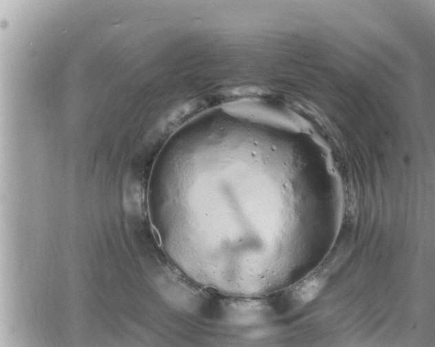 X0000062170669200512121242