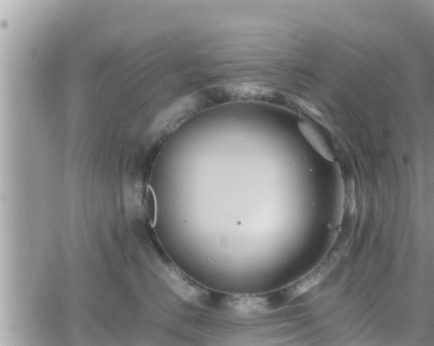 X0000062170670200512121242