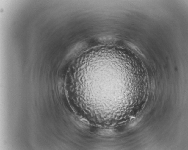 X0000062170671200512121242