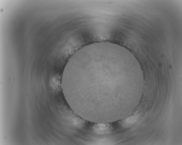 X0000062170672200512121242