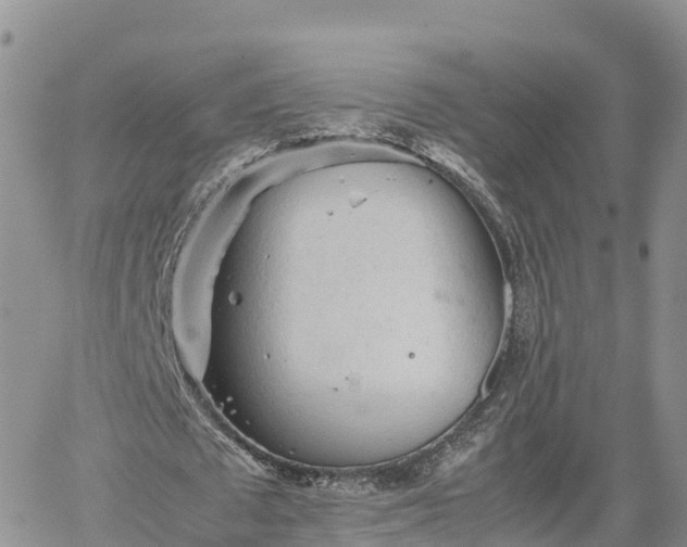 X0000062170673200512121241