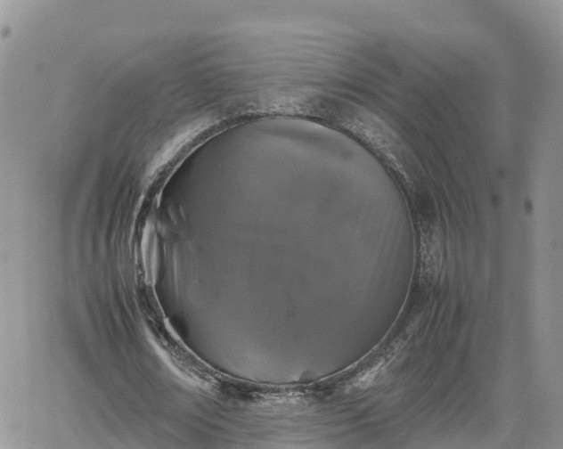 X0000062170674200512121241