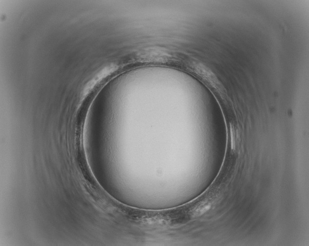 X0000062170675200512121241