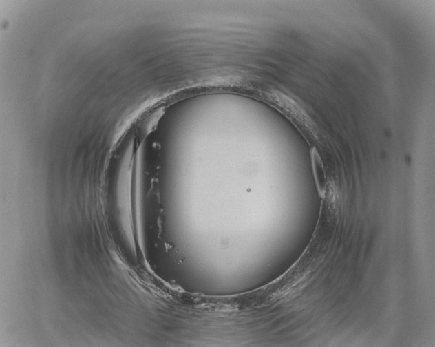 X0000062170676200512121241