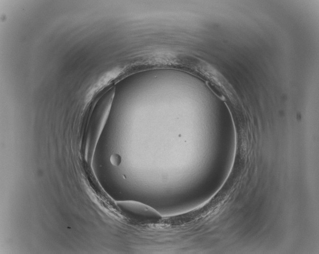 X0000062170677200512121241