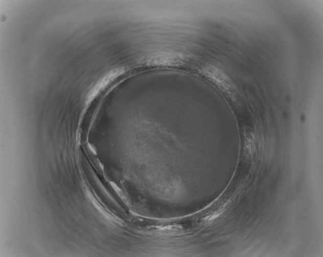 X0000062170678200512121241