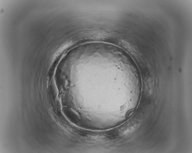 X0000062170679200512121241