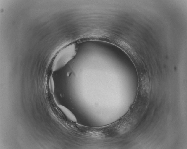 X0000062170680200512121241