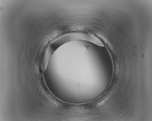 X0000062170681200512121241