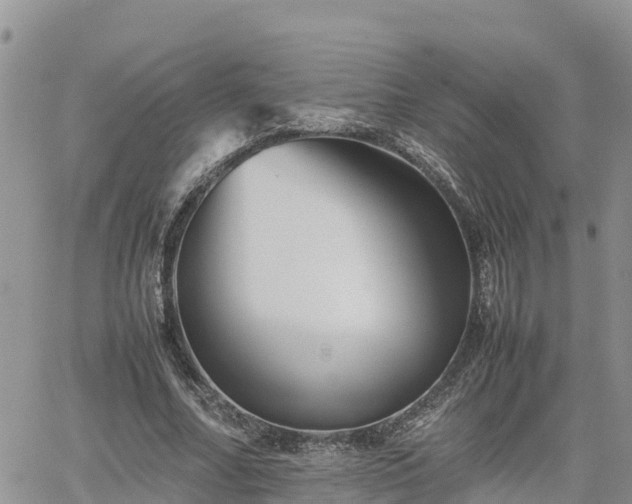 X0000062170682200512121241