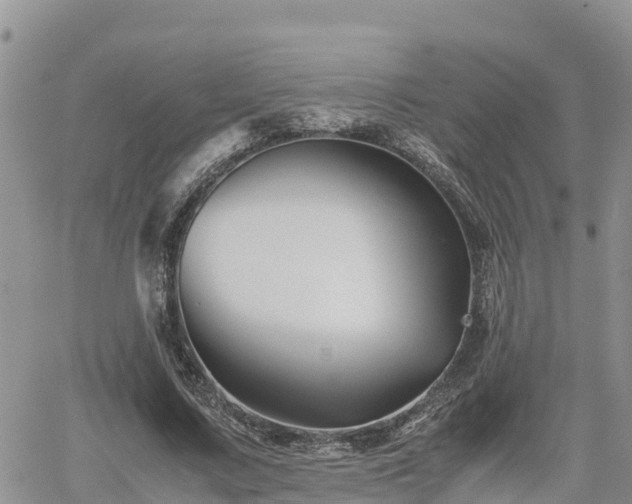 X0000062170683200512121241