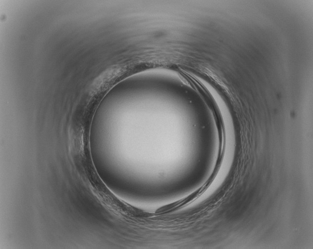 X0000062170685200512121241