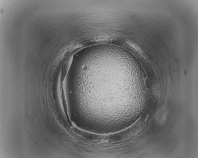 X0000062170687200512121241