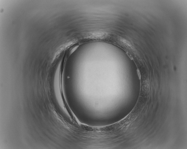 X0000062170688200512121241