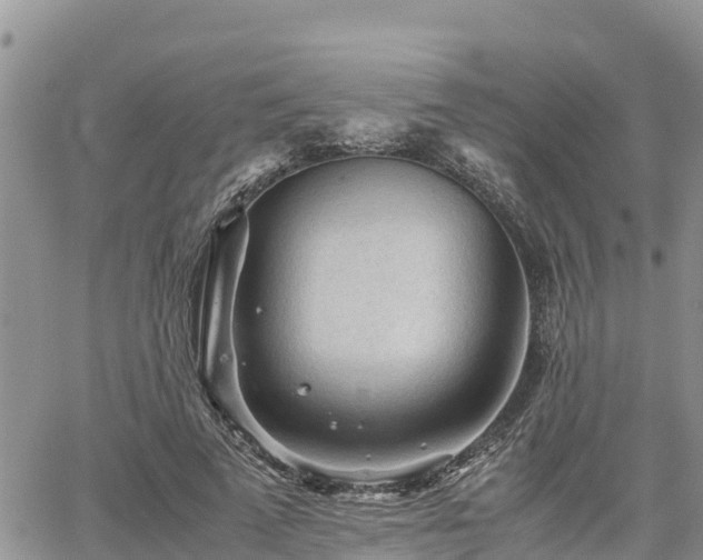 X0000062170689200512121241