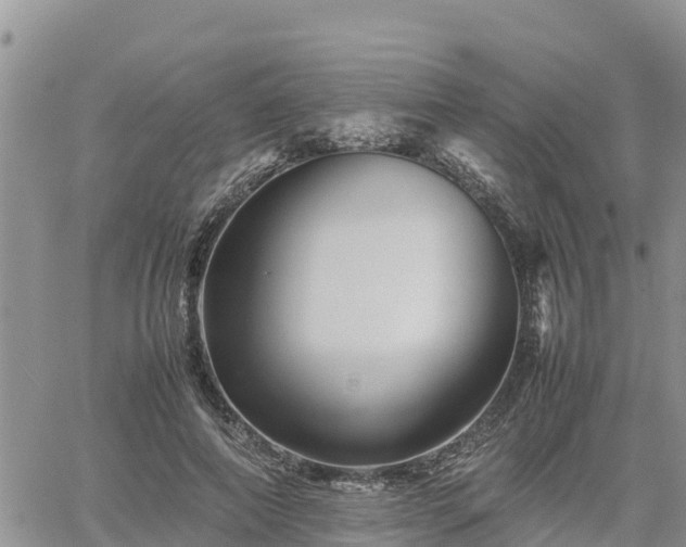 X0000062170690200512121241