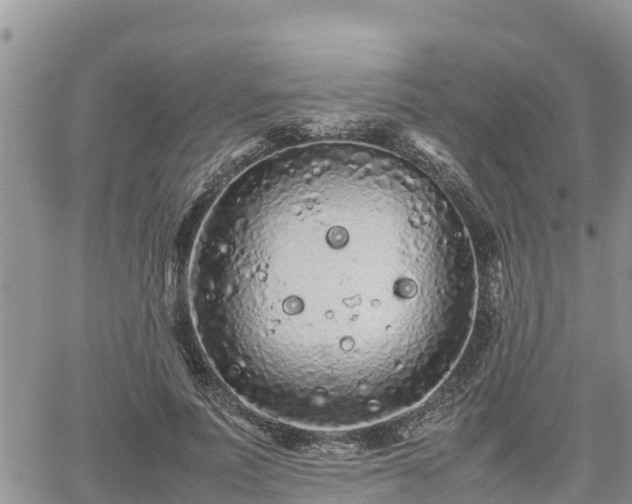 X0000062170691200512121241